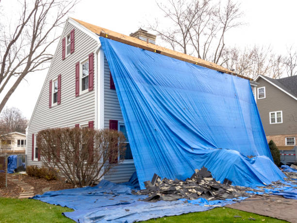 Professional Siding Installation & Repair in Polo, IL